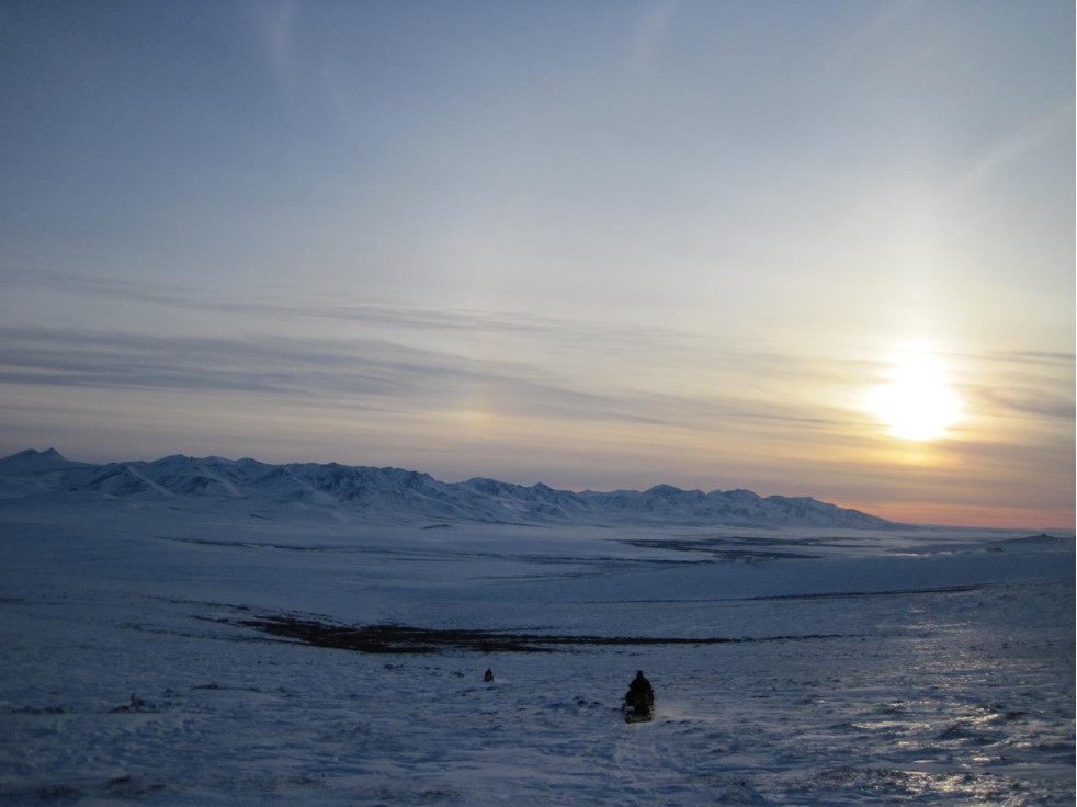 Nome Iditarod Finish and Tours